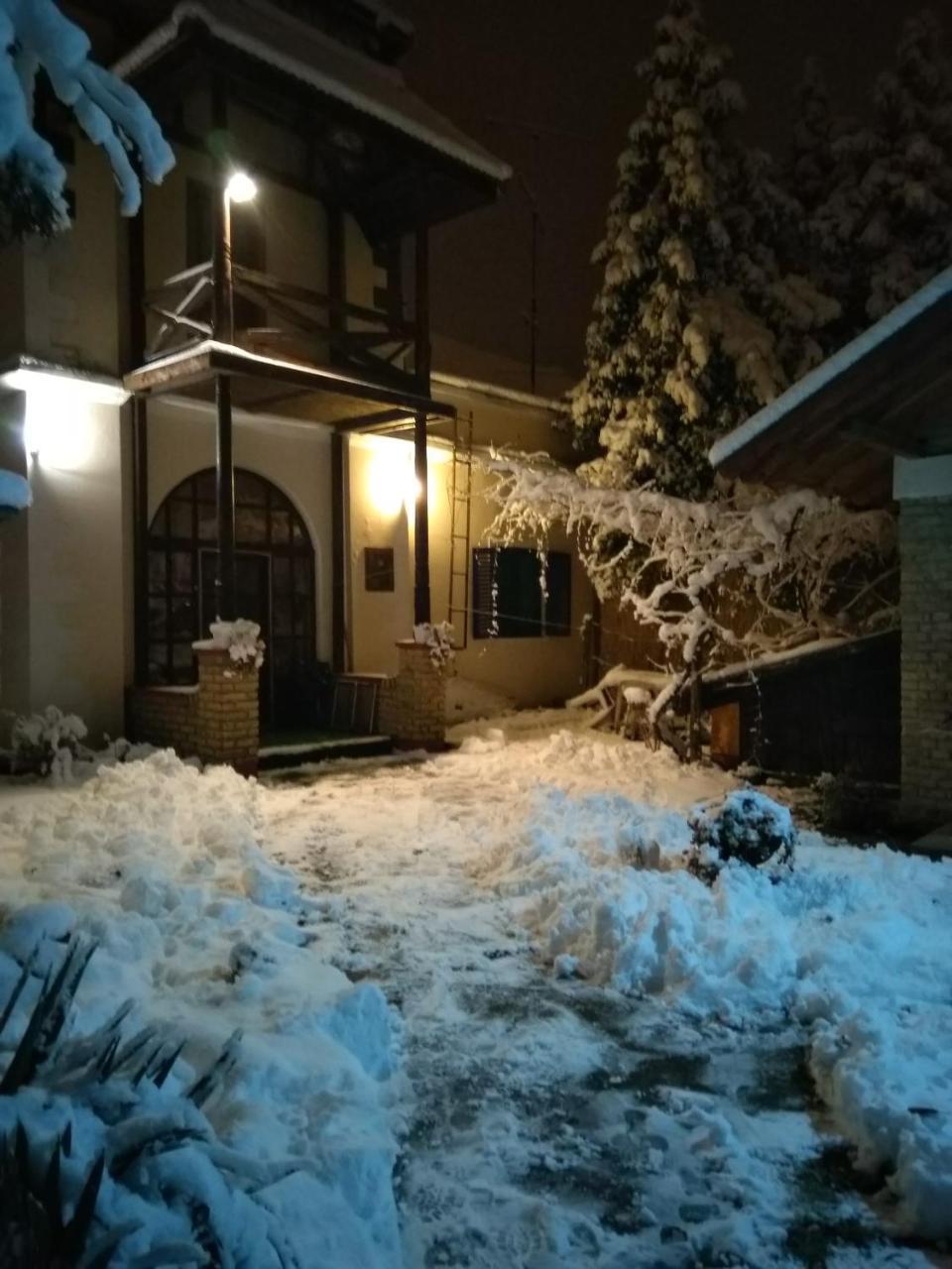 Nemeth Apartman Palic Exterior photo